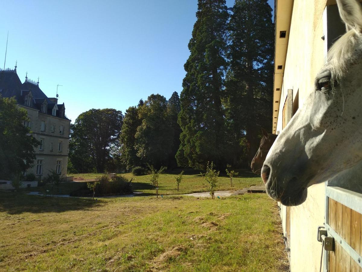 מלון Sanssat Chateau De St Alyre מראה חיצוני תמונה