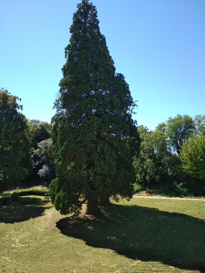 מלון Sanssat Chateau De St Alyre מראה חיצוני תמונה
